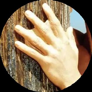 Unschubladisierbar tweet media