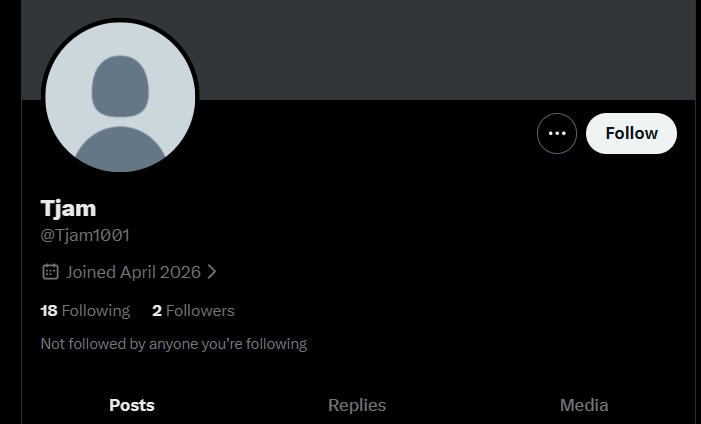 𝔗𝔶𝔯𝔞𝔫𝔡𝔢 🧩 不屈不挠 tweet media