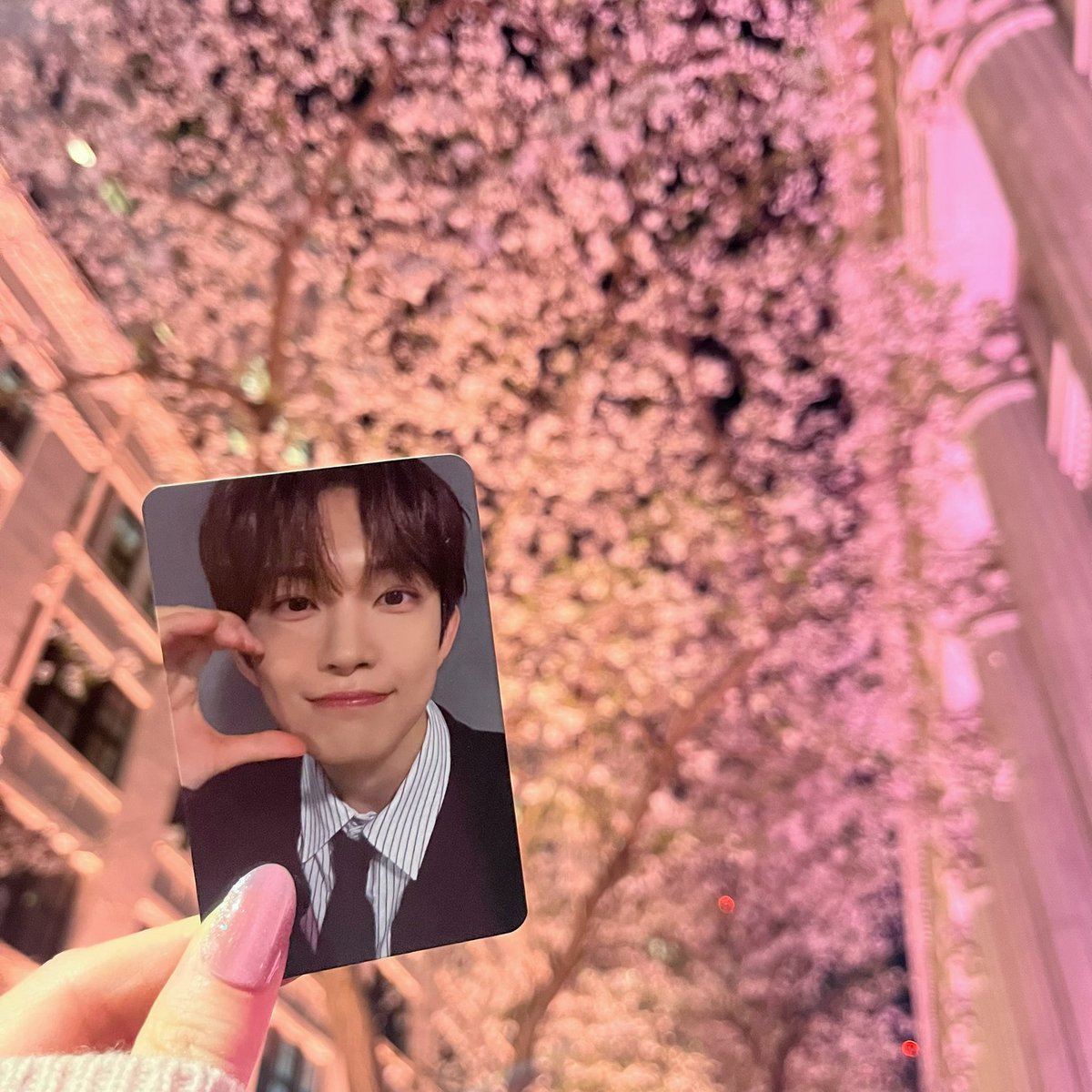 𝒌🍒 tweet media