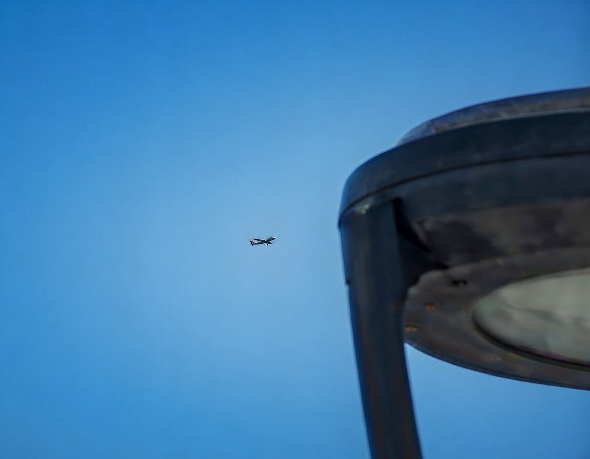 Project Constitution tweet media