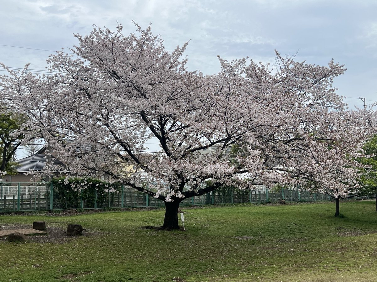 YANAGAWA(柳川典久) tweet media