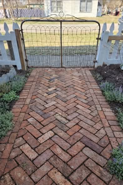 Sara Mary ⭐❤️ tweet media