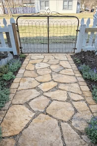 Sara Mary ⭐❤️ tweet media