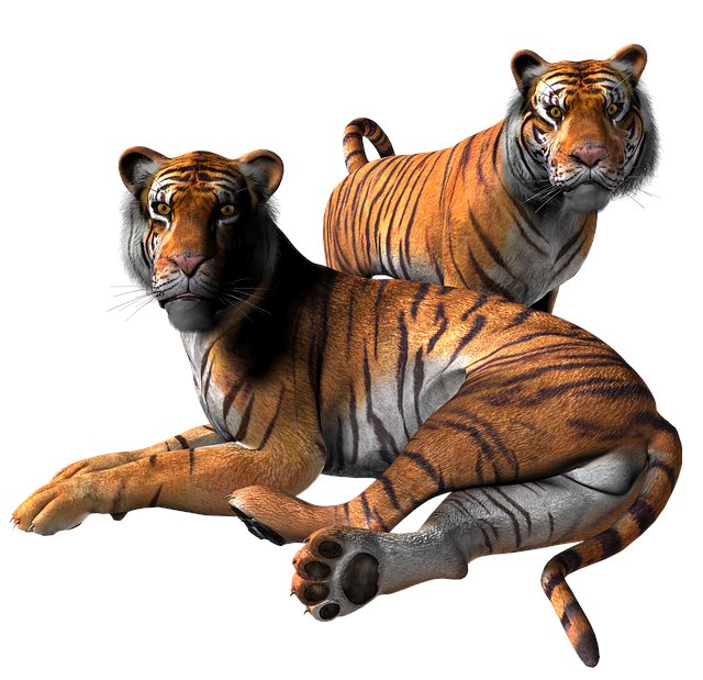 Steven Paquette tweet media