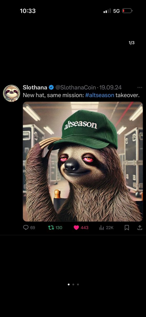 SlothanaWizard tweet media