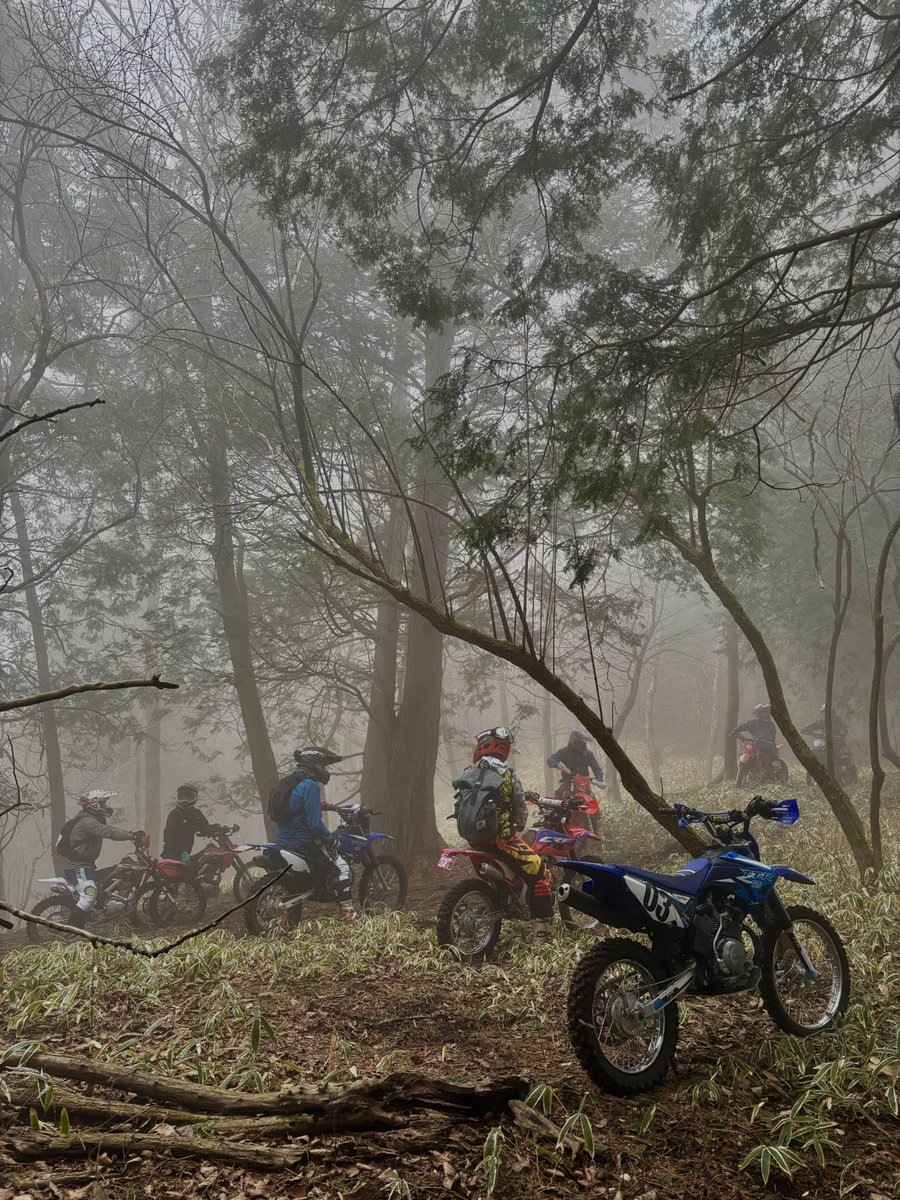 はやとん tweet media