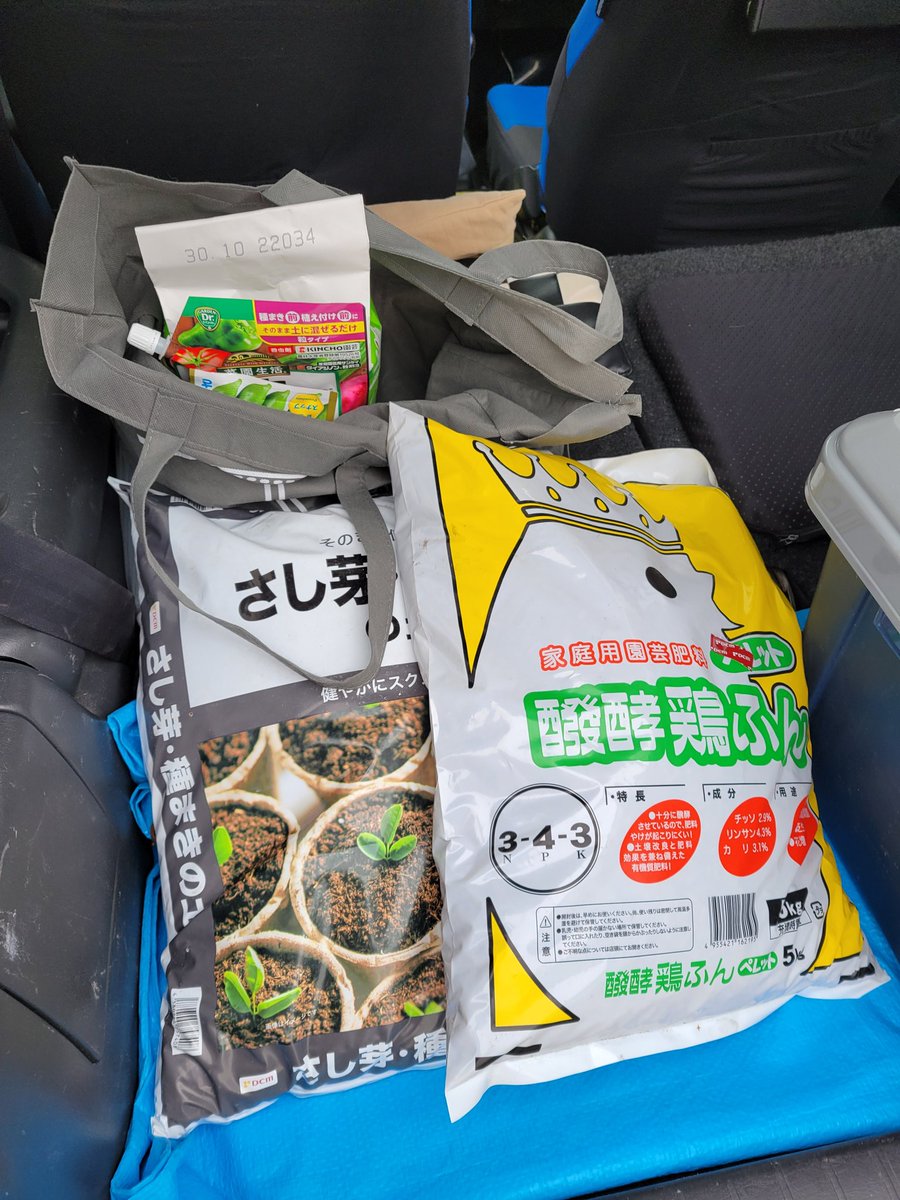 やっちゃん【本物】 tweet media
