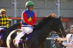 the-allow【放牧】　想定→中山GJ tweet media