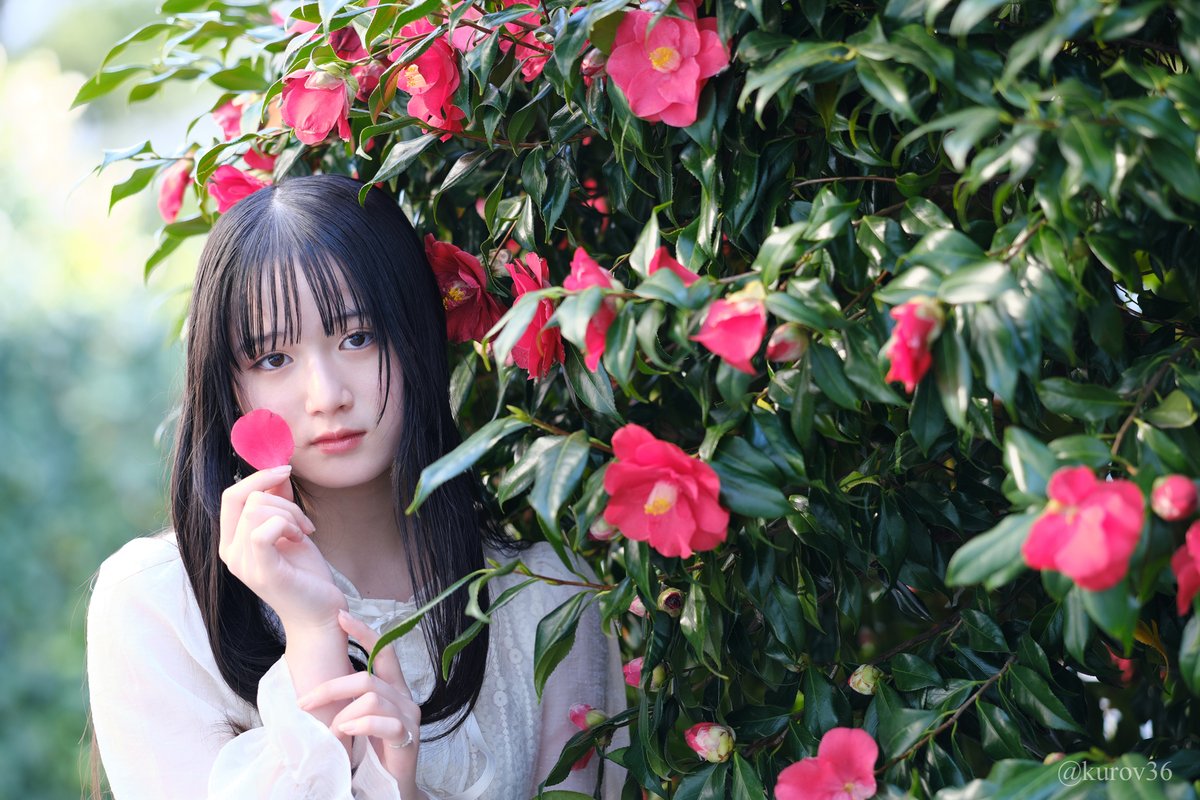 くろ@kurov36 tweet media