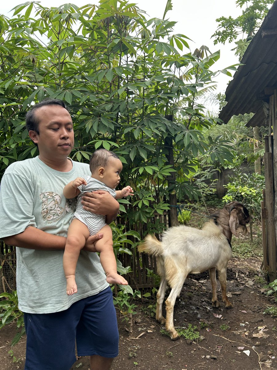 shintyaps's tweet photo. Antara Amira dan kambing, aqiqahnya.
Alhamdulillah, Akikah buat anak syantikquu https://t.co/PxvwLax3Zt
