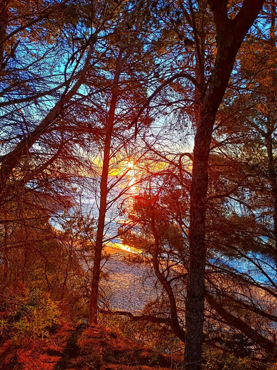 L’Hospitalet de l’Infant i la Vall de Llors tweet media