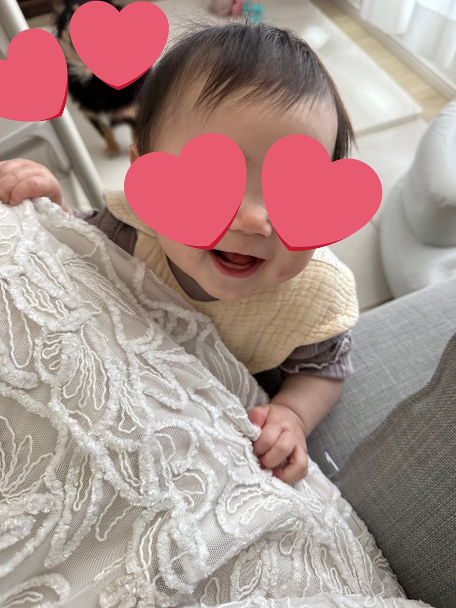 寝返りもずりばいもハイハイも捕まり立ちも驚くペースでしたから生き急いでるなと思ってたのに、歯だけ一向に生えてこない😂😂😂
こんにち歯のポストしたいのに📮(笑)