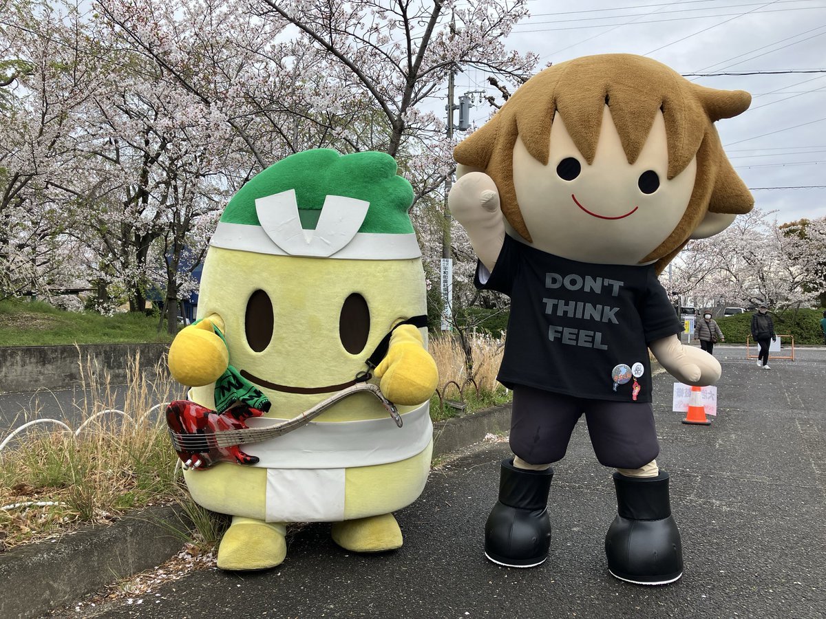 タボくん【公式】 tweet media