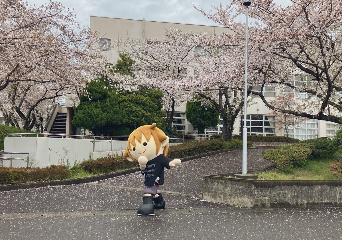 タボくん【公式】 tweet media