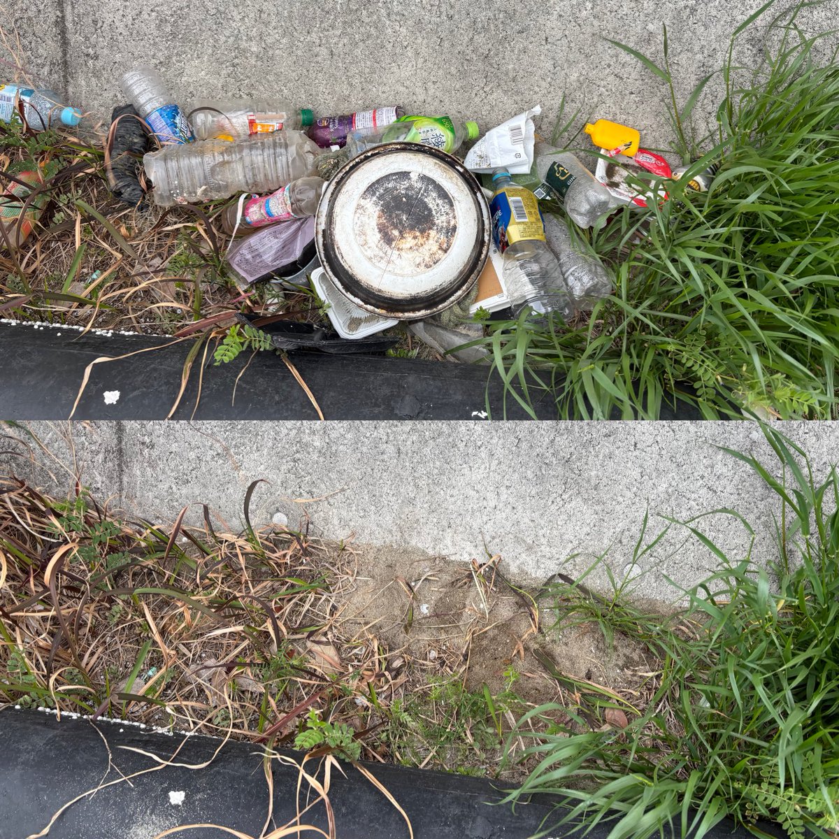 Tanga☆Loa🤘デカハネGP2026 tweet media