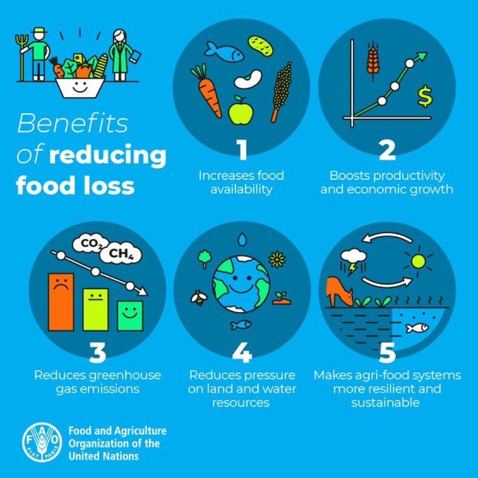 FAOclimate's tweet image. The global food system’s impact on #biodiversity, ecosystems, and ecosystem services is overwhelming.  

Reducing food loss has a range of benefits #ForPeopleForPlanet 🌍   

Find out more: