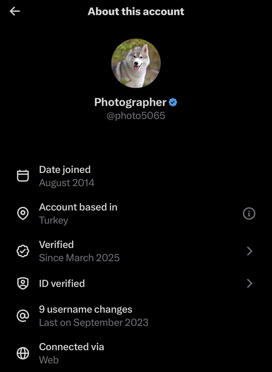 Lunatics Anonymous, that's where I belong tweet media