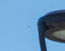 Project Constitution tweet media