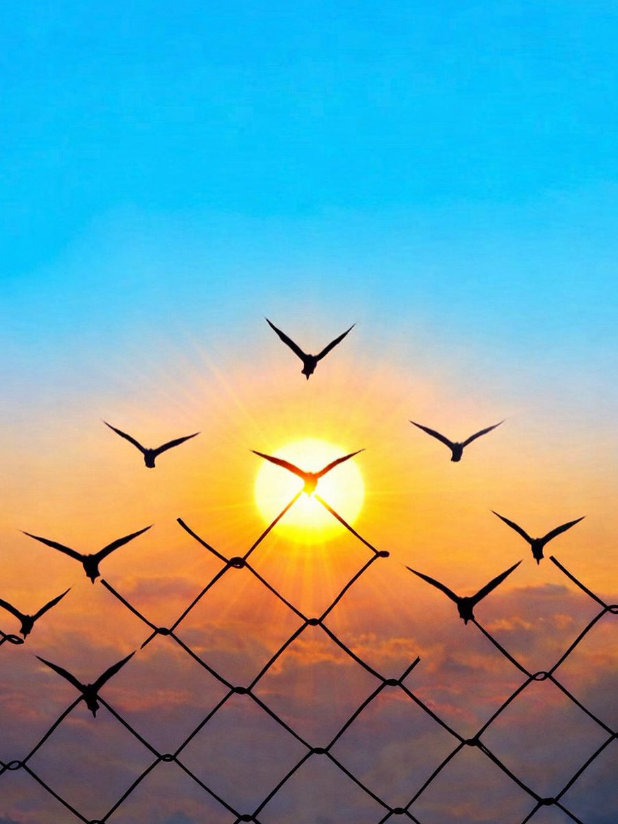 UrfaKilisesi's tweet photo. “Oysa, bizim isyanlarımız yüzünden onun bedeni deşildi, Bizim suçlarımız yüzünden o eziyet çekti. Esenliğimiz için gerekli olan ceza Ona verildi. Bizler onun yaralarıyla şifa bulduk.”
YEŞAYA 53:5 (KİTABI MUKADDES) https://t.co/Us09ZCpYaU