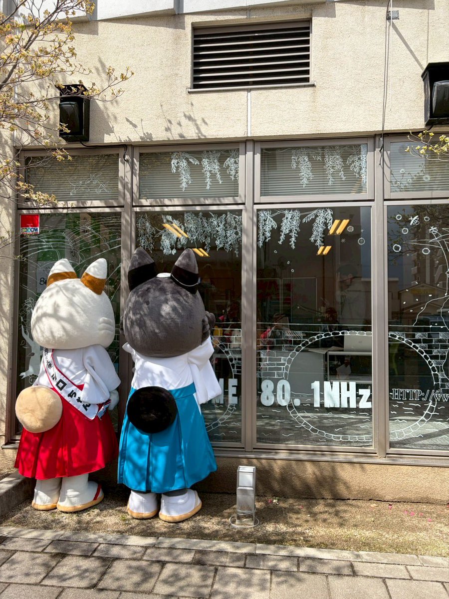 福島八幡宮シロちゃん【公式】 tweet media