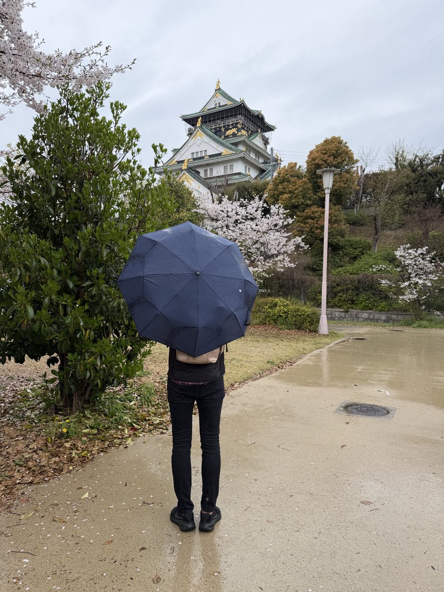 Sir Hodgepodge tweet media