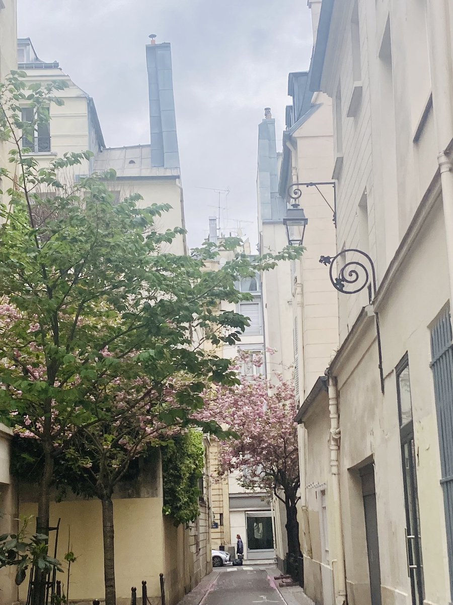 intwittoveritas's tweet photo. Paris charmant. https://t.co/jH8DRESdCc