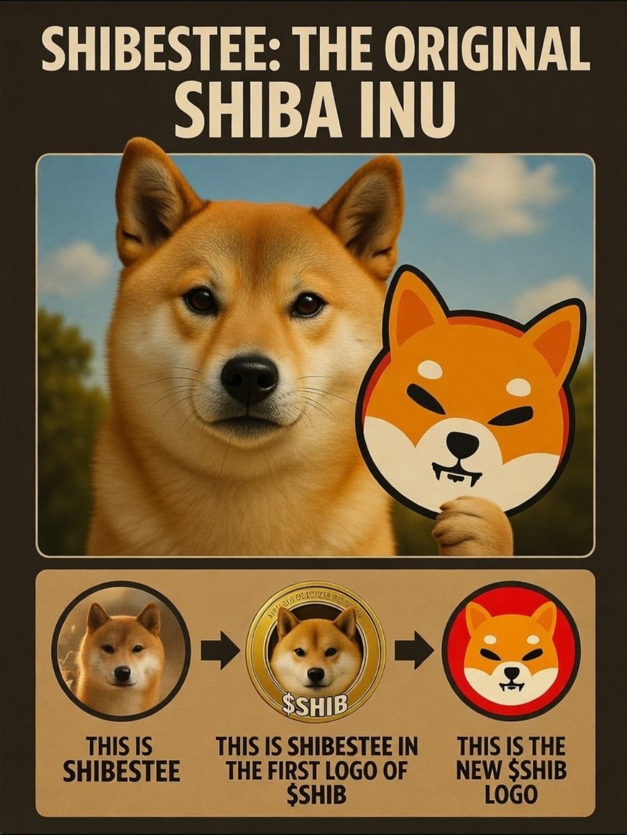 talun14867's tweet photo. @doggodcrypto $ShibEstee

0x4200000623d0242cccd4e907008583dcb4af6472

Woof x 10000 🐕

Eth chain 💎✔️

@BillyM2k ✔️ https://t.co/4M5tquypU2