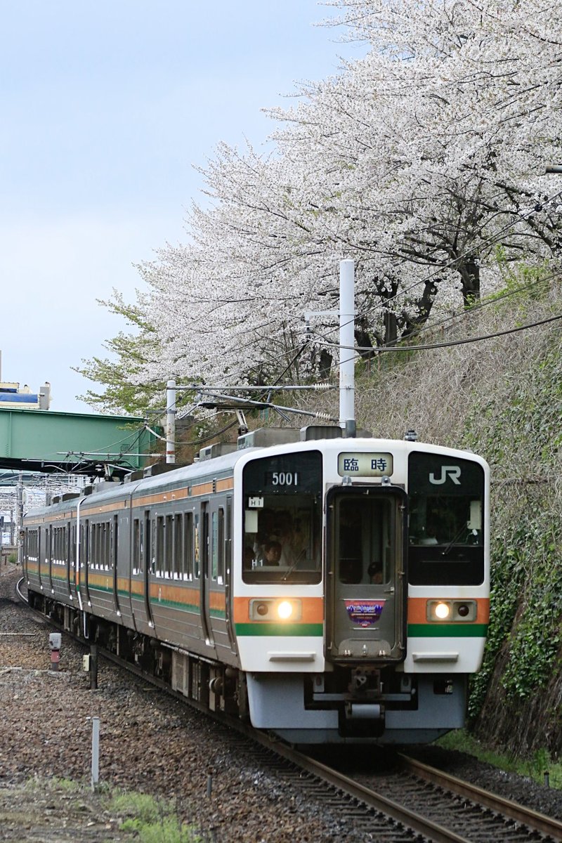 kinki48909's tweet photo. 4/4（土）
213系H1＋H6団臨
桜が静かに見守るように213系が走り抜けて行きました。ご一緒された方々お疲れ様でした。#ありがとう213系 https://t.co/2aws9bsiXy