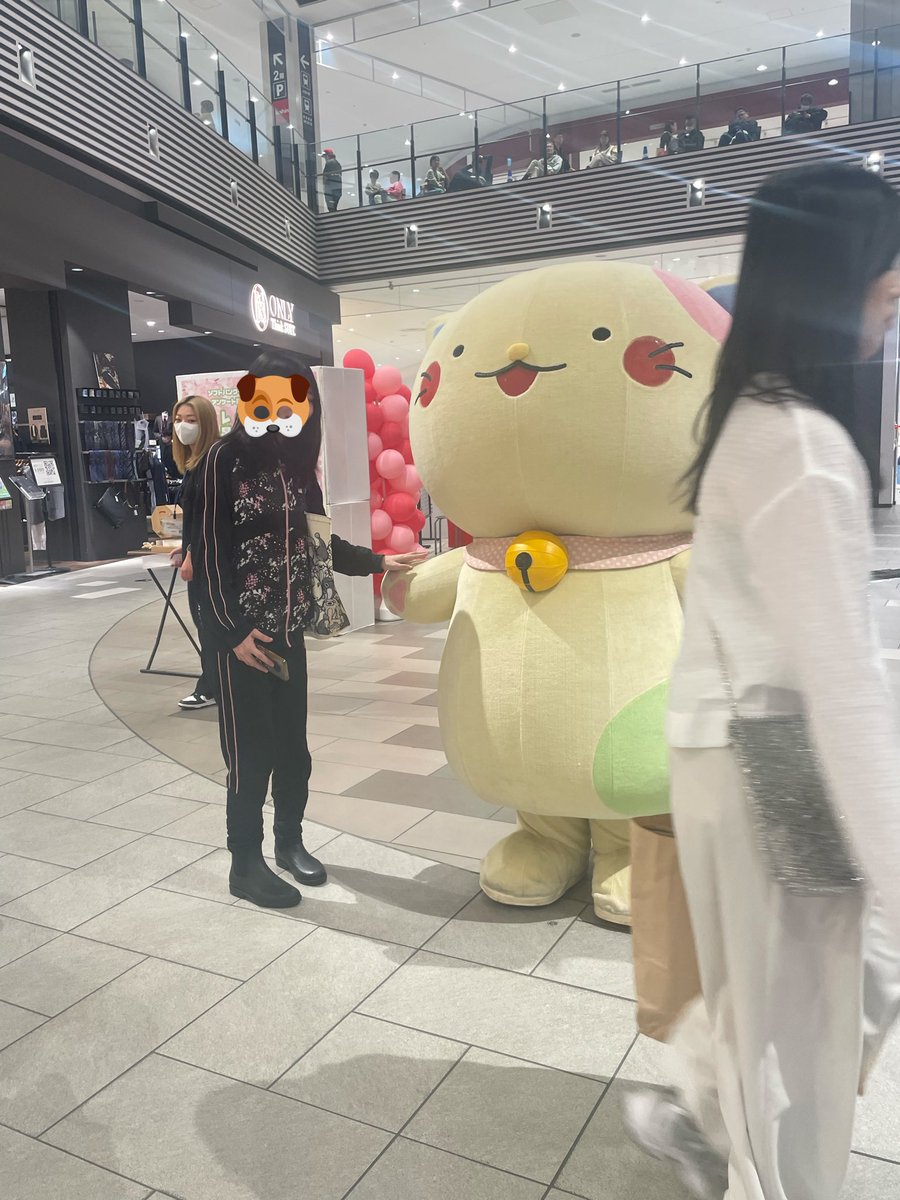 pugmog a.k.a.pokobitch tweet media