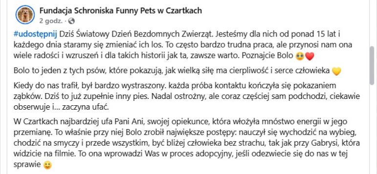 Robwalka Wolf tweet media