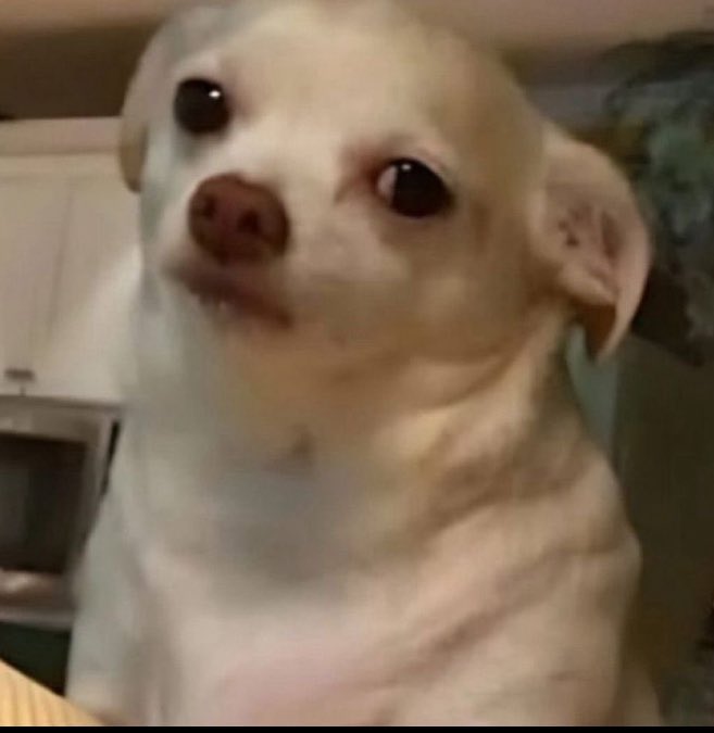 Don Jerry tweet media