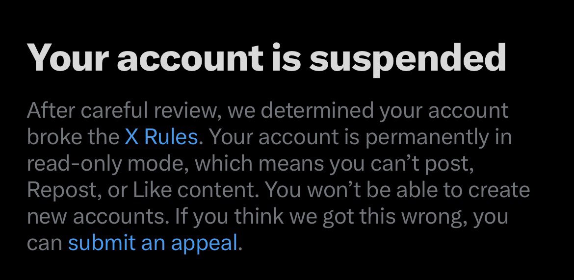 Blue Bear tweet media