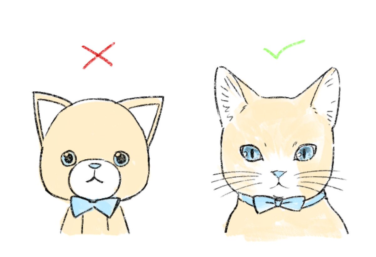 ヒメチ tweet media