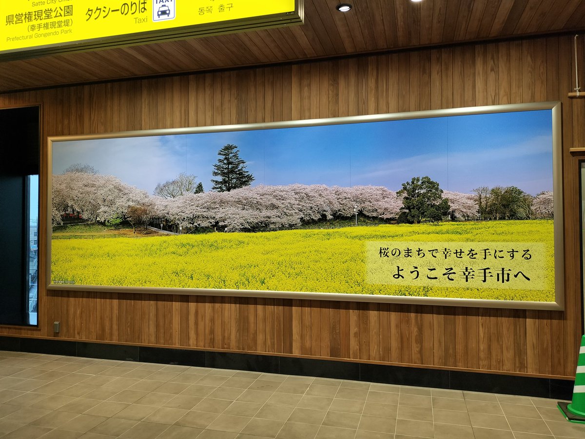 ハセピー tweet media