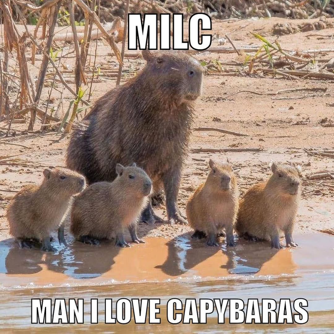 capybara owner tweet media
