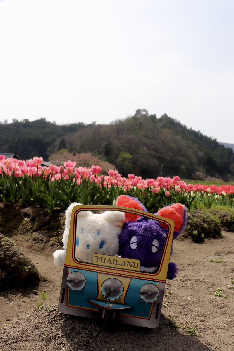 広瀬 梨有 tweet media