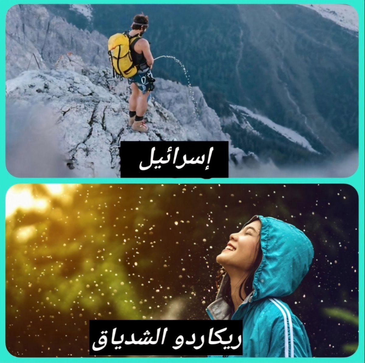 Ghaleb Ghosn tweet media