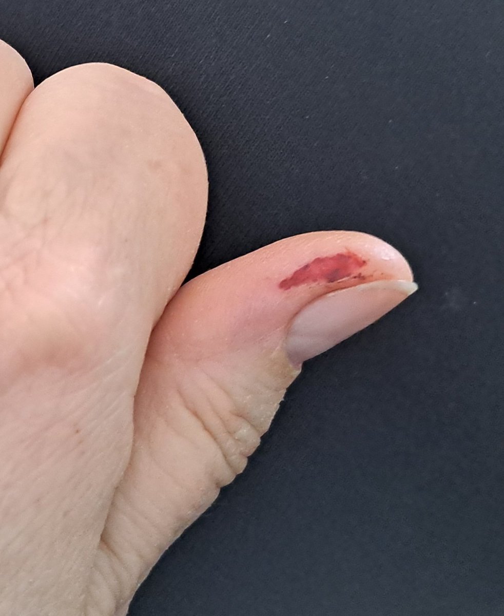 Susanne Göschl tweet media