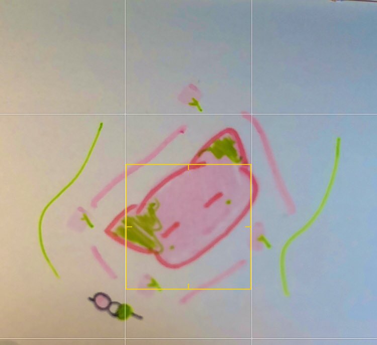 ｸﾛｶﾜ🐾 tweet media