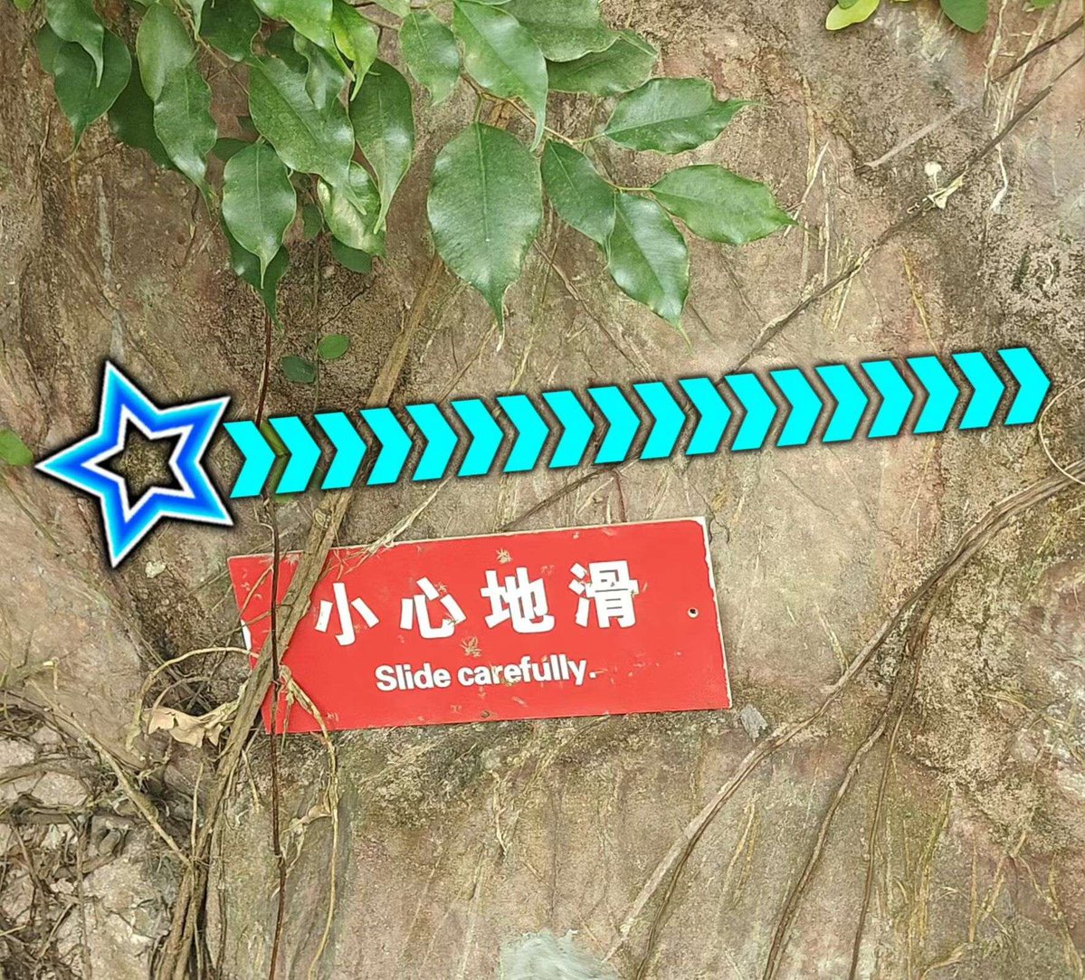 🍀🍥竹蜻蜓🍥🍀 tweet media