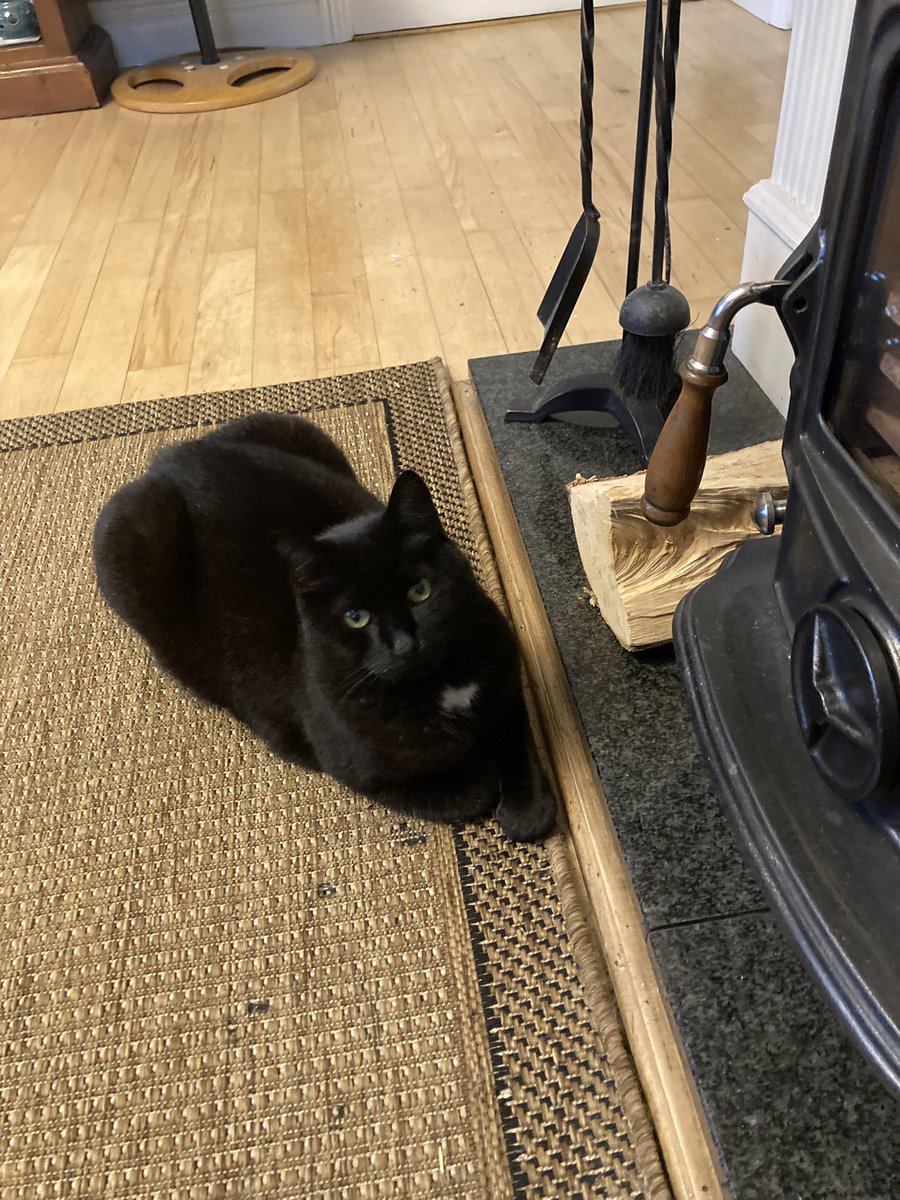 fran ca del tweet media