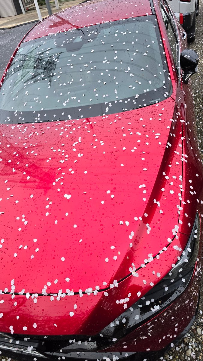 MAZDA3 Blossom Selection
てか😵‍💫

これ、落とすの大変なんよ