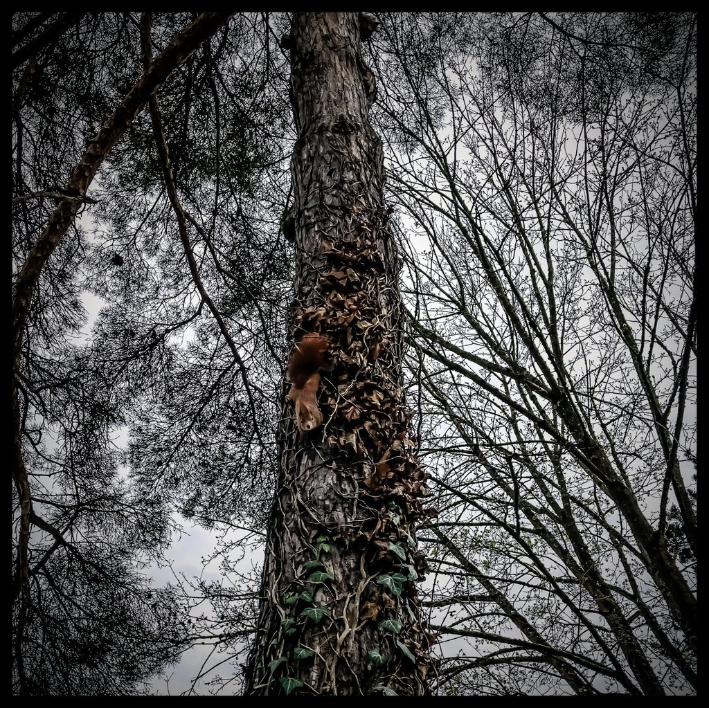 Die Wegscheiderin ๐๐๐ tweet media