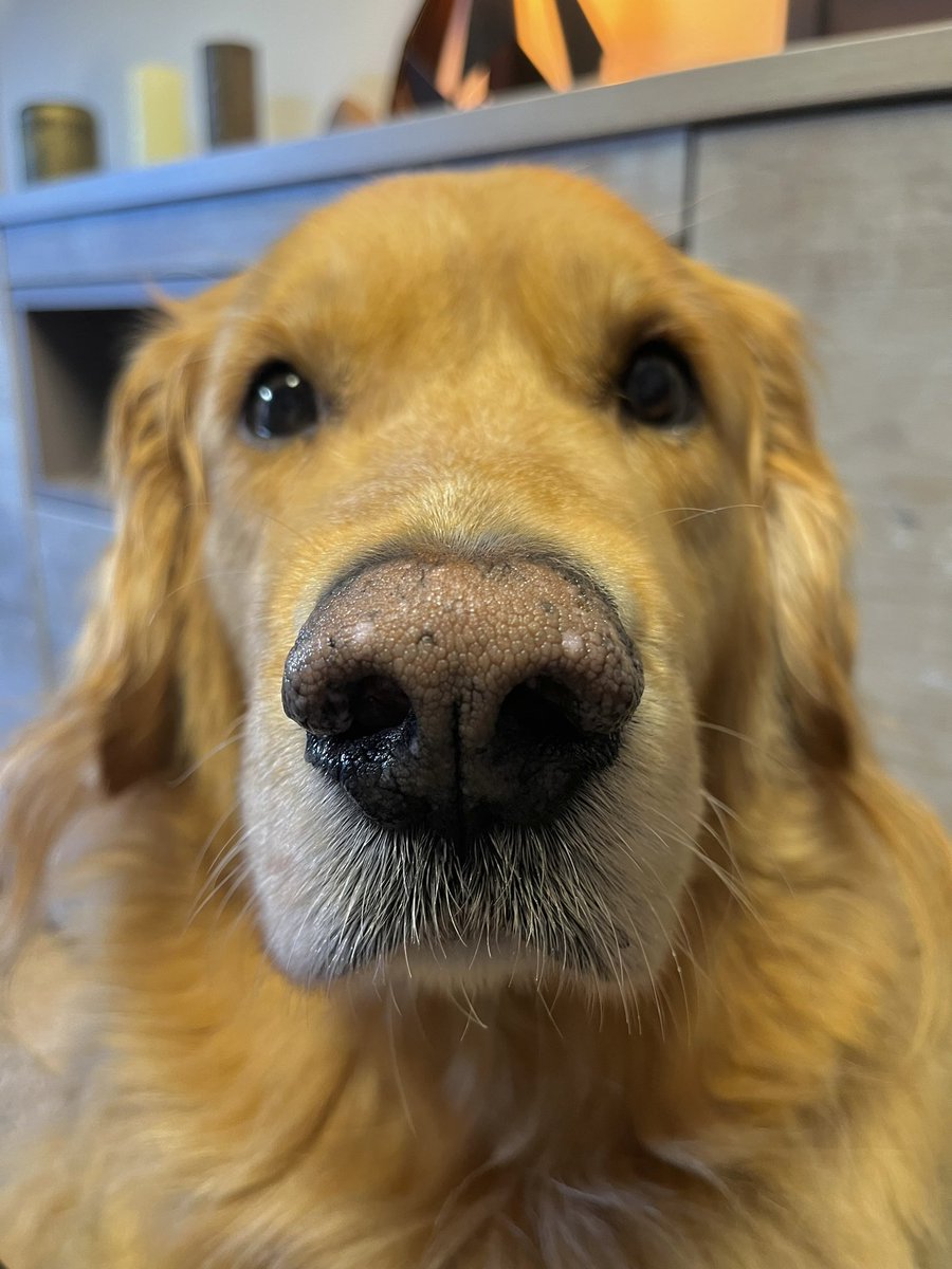 Judit Lopez Veiga 🫟 tweet media