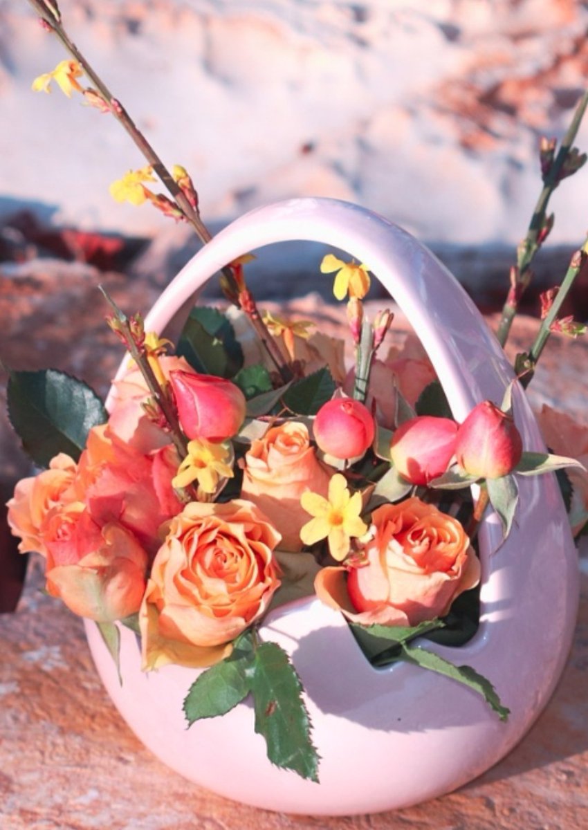 B🌹👋 tweet media