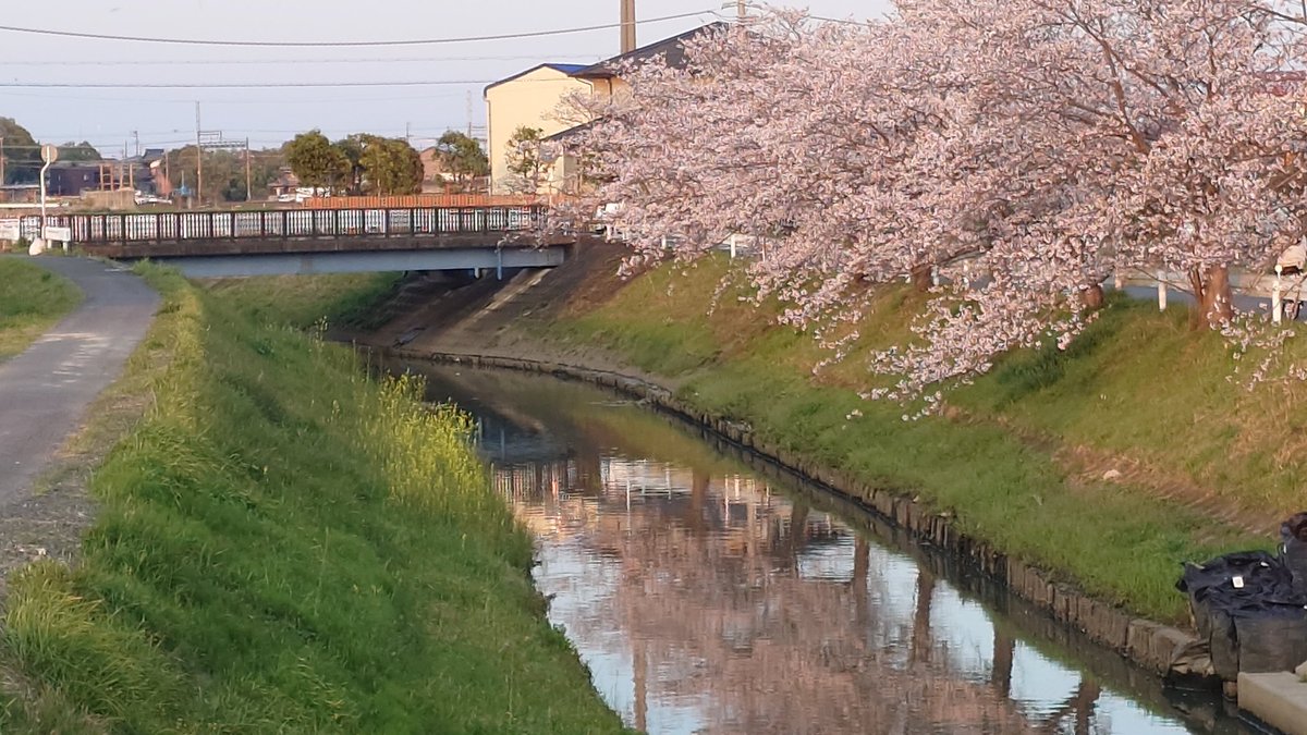 ひろやん tweet media