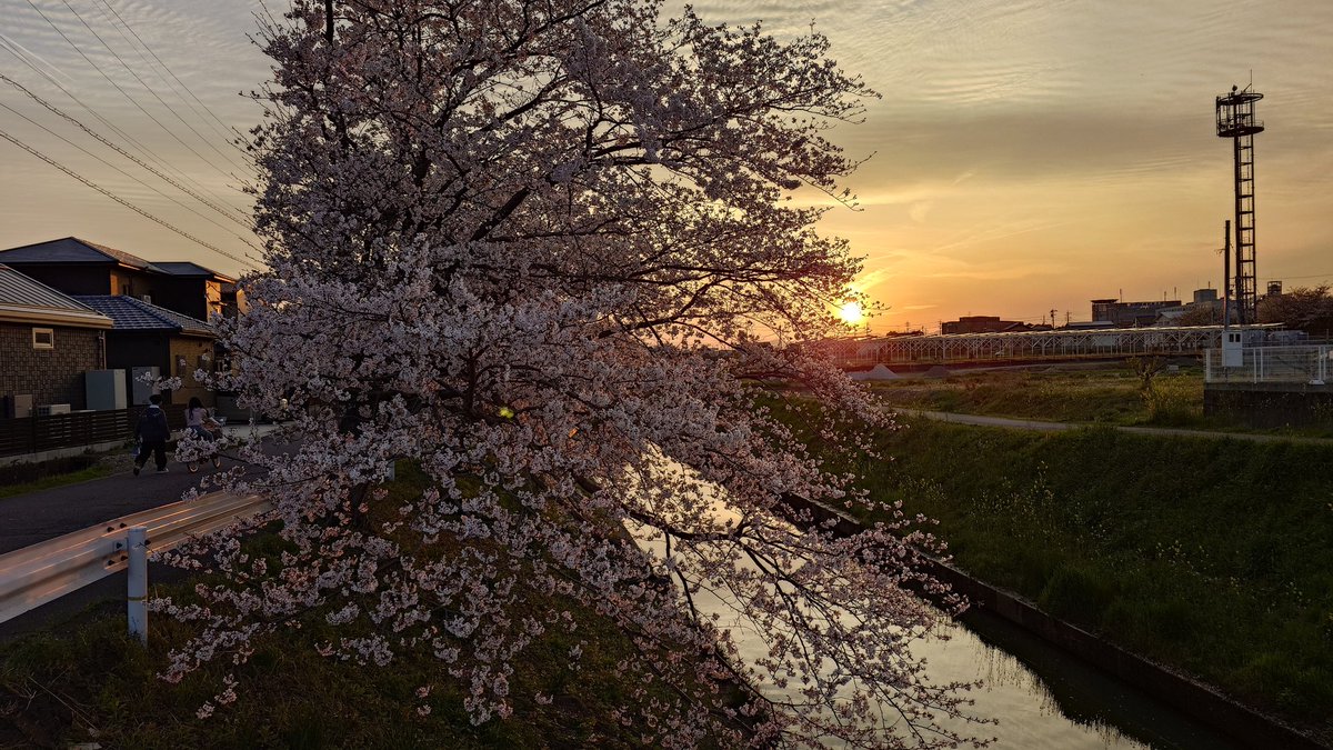 ひろやん tweet media