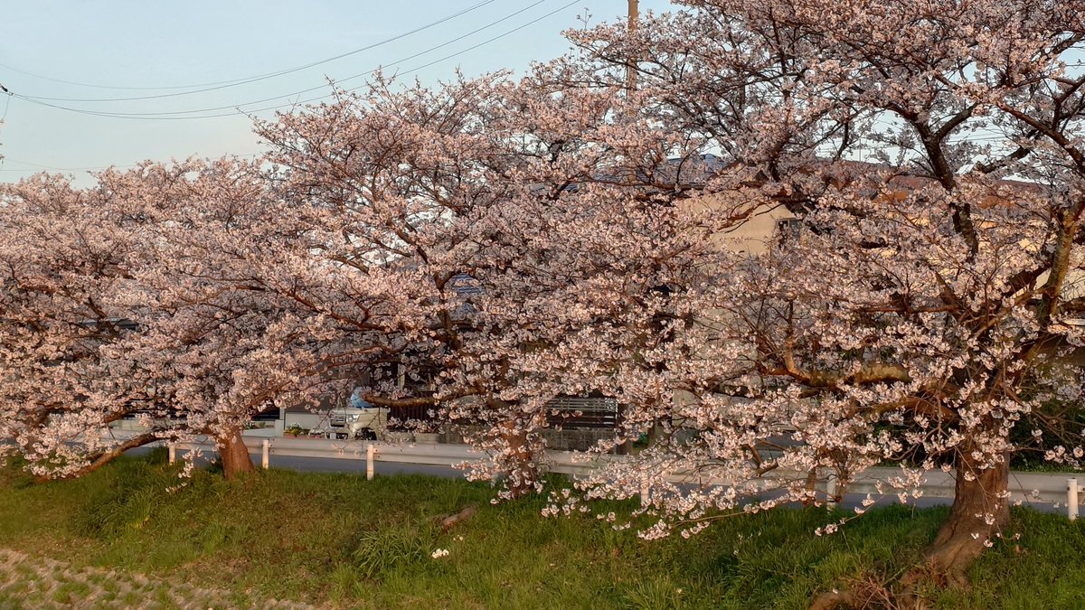 ひろやん tweet media