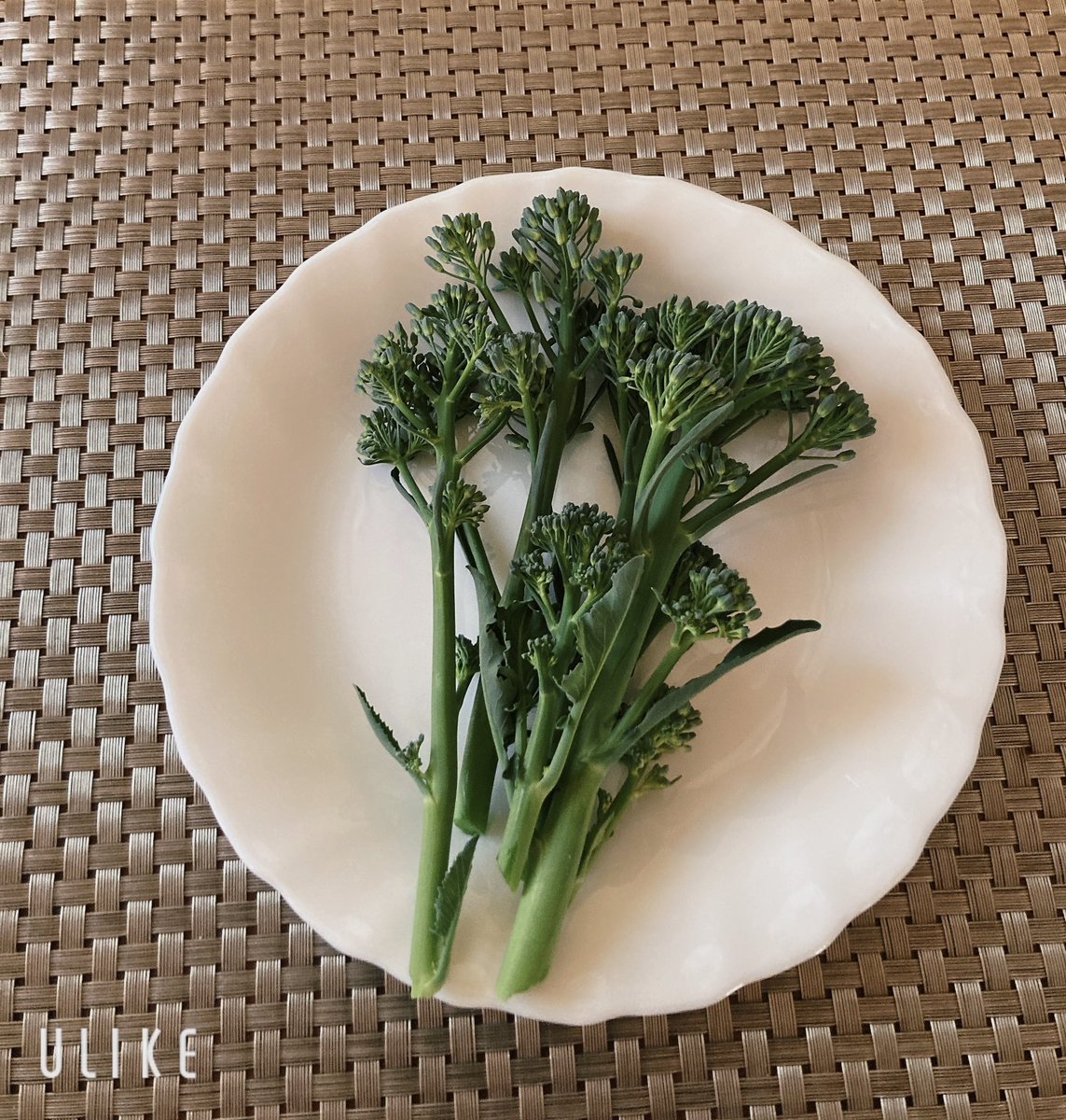 💐🪷RIE麗慧静嫣🪷💐 tweet media