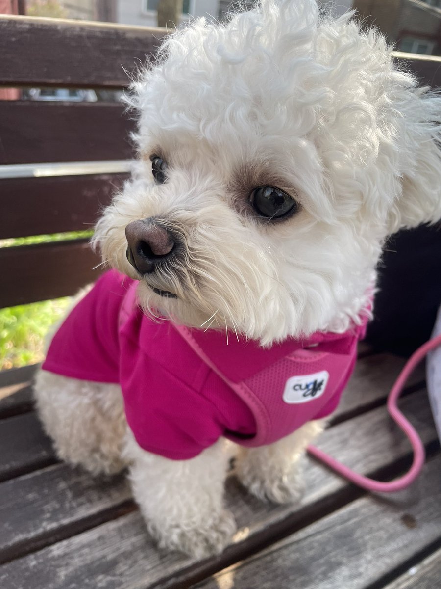 최밥풀 tweet media